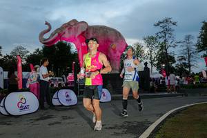 BIB: 
                            <button type="button" onclick="openModal(26529533)" class="btn btn-primary btn-sm float-right btn-popup" data-toggle="modal" data-target=".modal-high-quality">
                        <i class="fas fa-shopping-cart"></i> Add to Cart
                    </button>
                                            <button type="button" onclick="isThisMe(26529533, true)" class="btn btn-success btn-sm float-right btn-popup btn-isme hidden" data-toggle="tooltip" data-placement="bottom" title="นี่คือรูปของคุณใช่ไหม คลิกที่นี่เพื่อเอาเข้าอัลบั้ม">
                        <i class="fas fa-plus"></i> Add to album
                    </button>
                    <button type="button" onclick="isThisMe(26529533, false)" class="btn btn-warning btn-sm float-right btn-popup btn-isnotme hidden">
                        <i class="fas fa-ban"></i> Remove from album
                    </button>